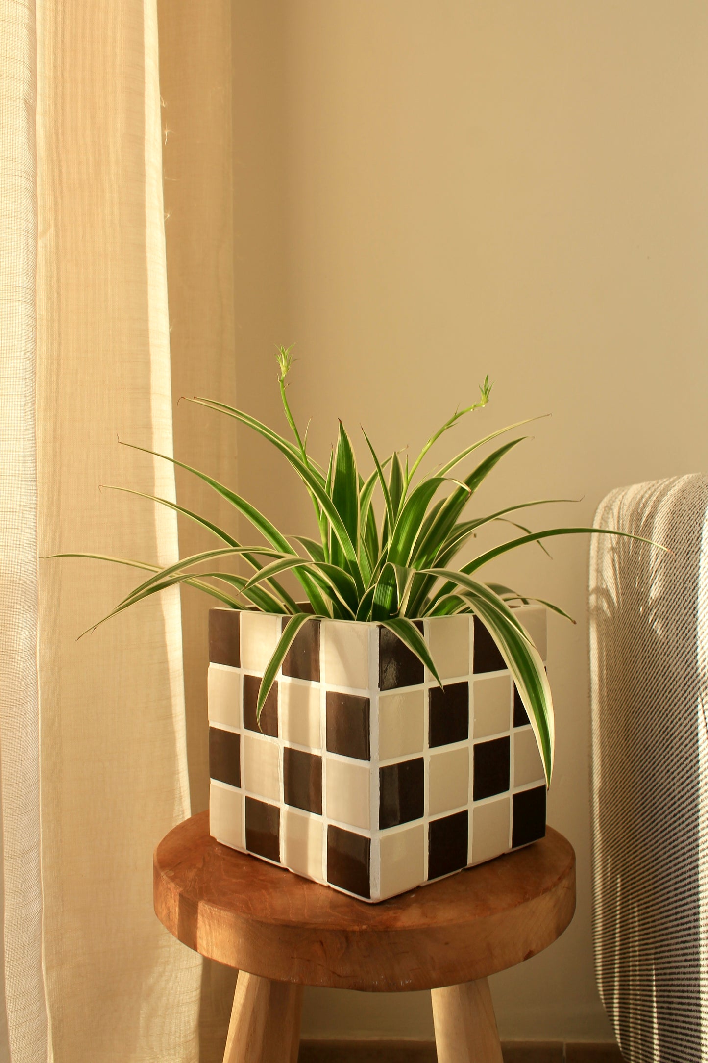 Grande boite/cache pot en mosaïque Crème et Chocolat